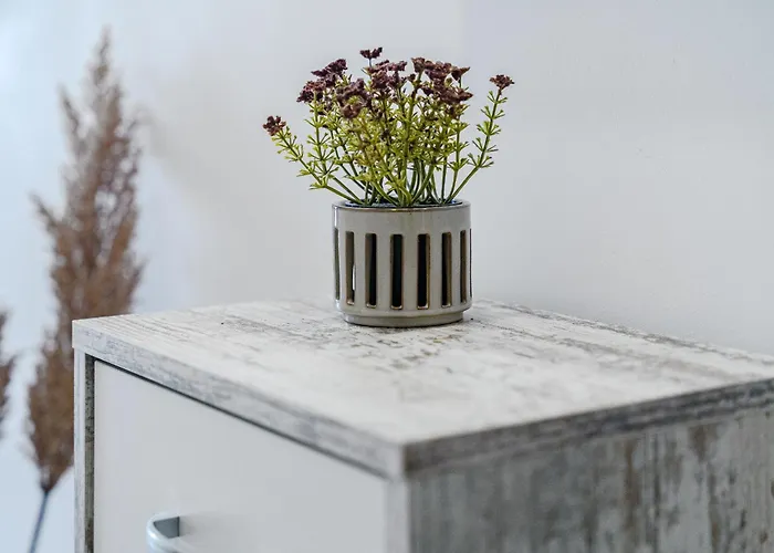 Lejlighed Pambnb Playa De Americas 1br With Pool Playa de las Américas